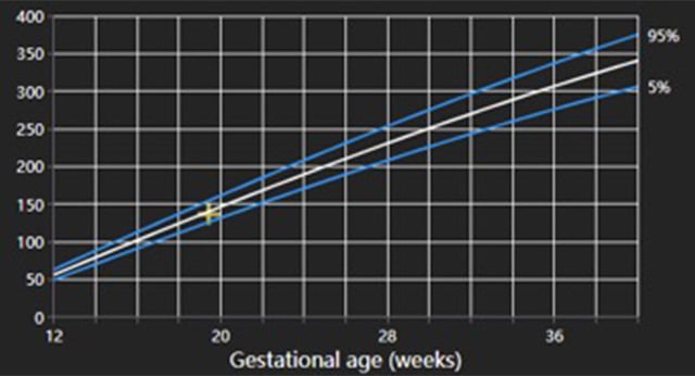 Precision-Reporting-img-OBGYN