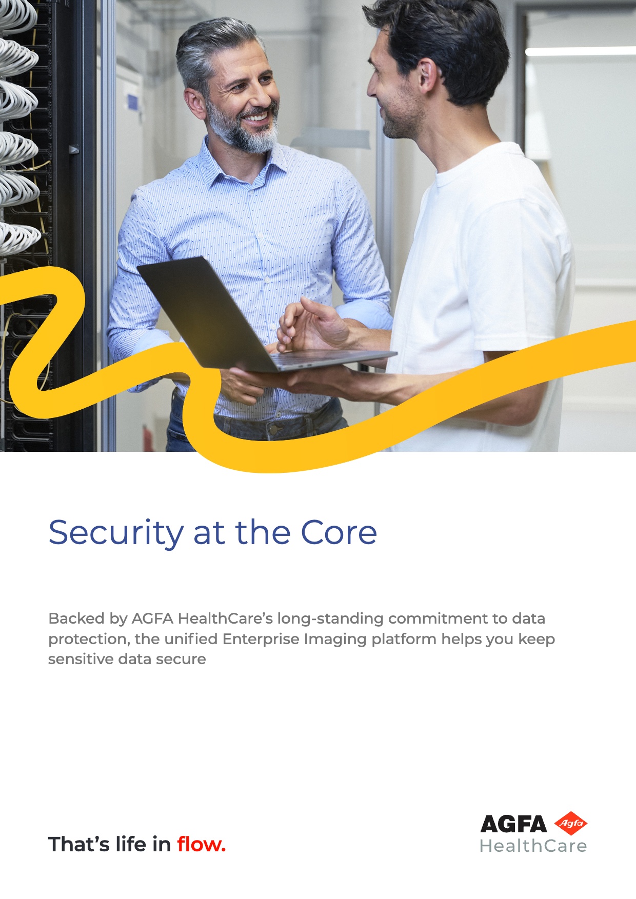BROCHURE: Security at the Core